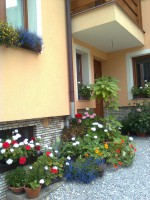 /album/okolie-chalupy/snimka0527-2-jpg/